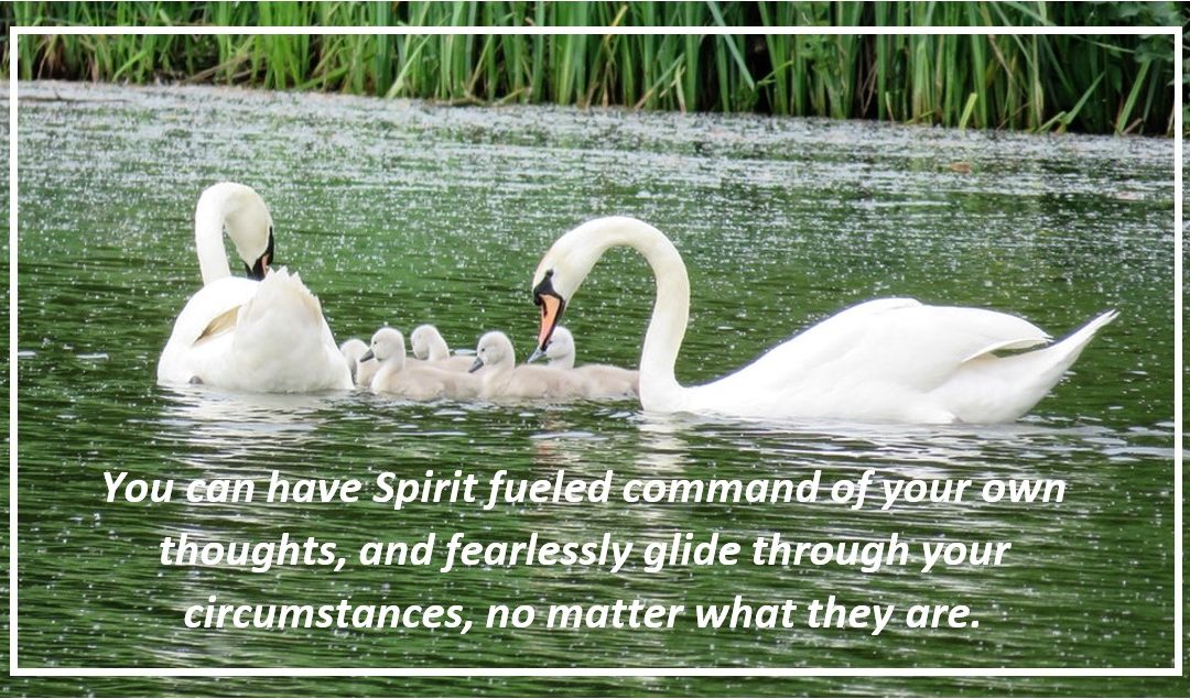 Memories Worth Memorizing