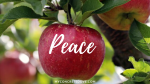 prompting of the holy spirit