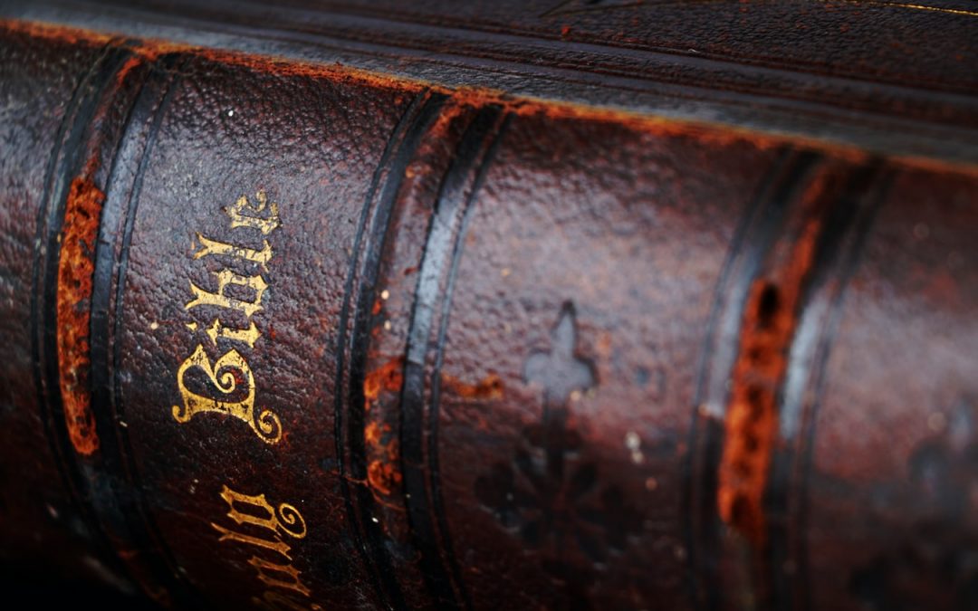 Joyology 101: Using Scripture to Escape Your Writing Predicaments