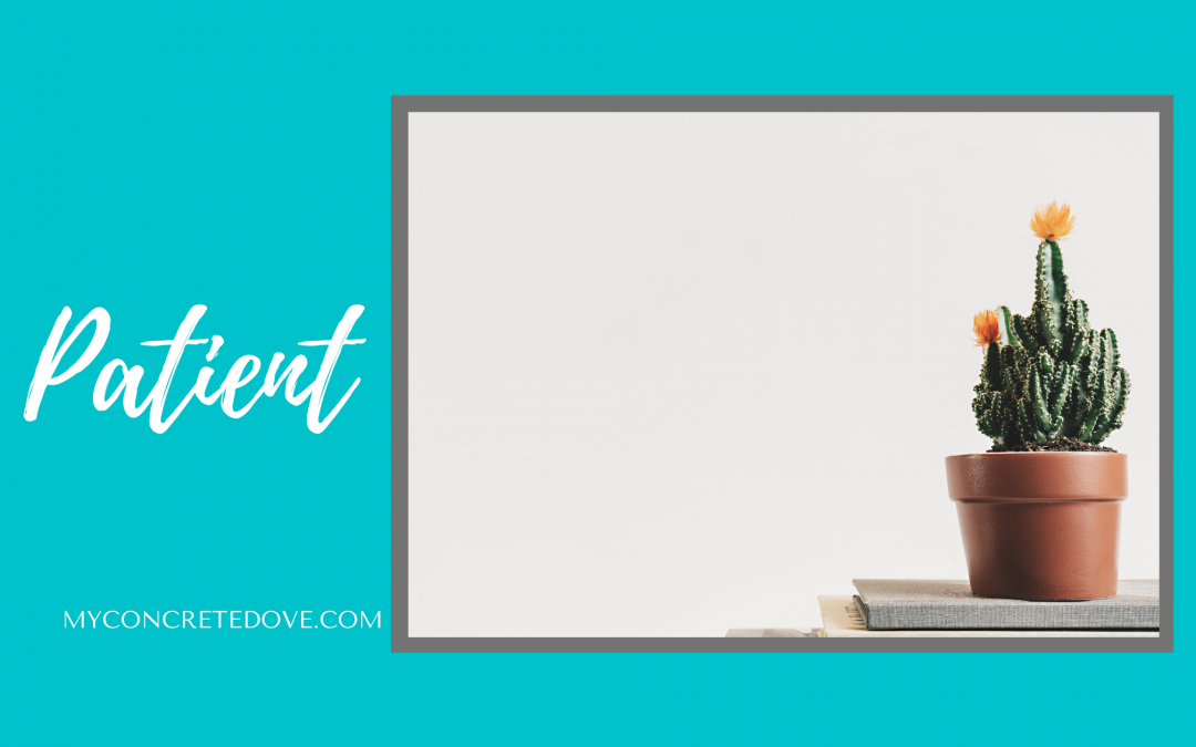 The Names of God – The God Who Sees Us Helps Us Be Patient