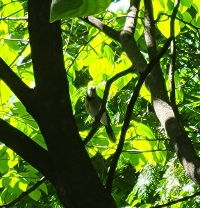 How a Near Disaster Taught Me the Importance of Slowing Down